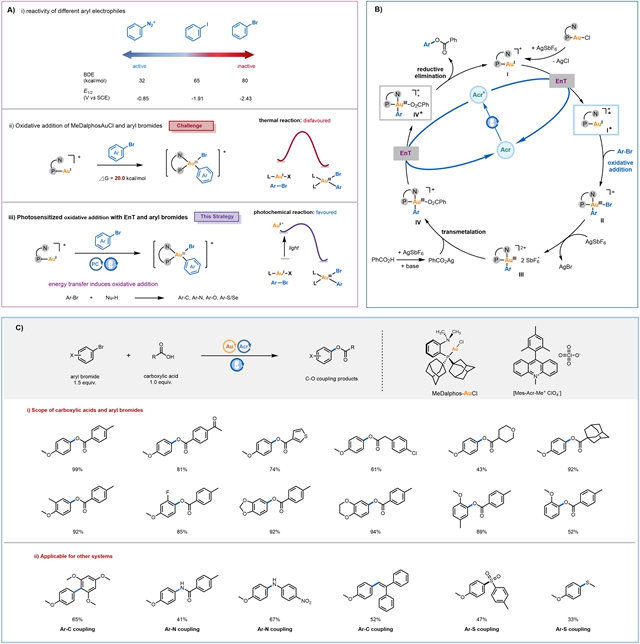 JACS-Scheme1.jpg